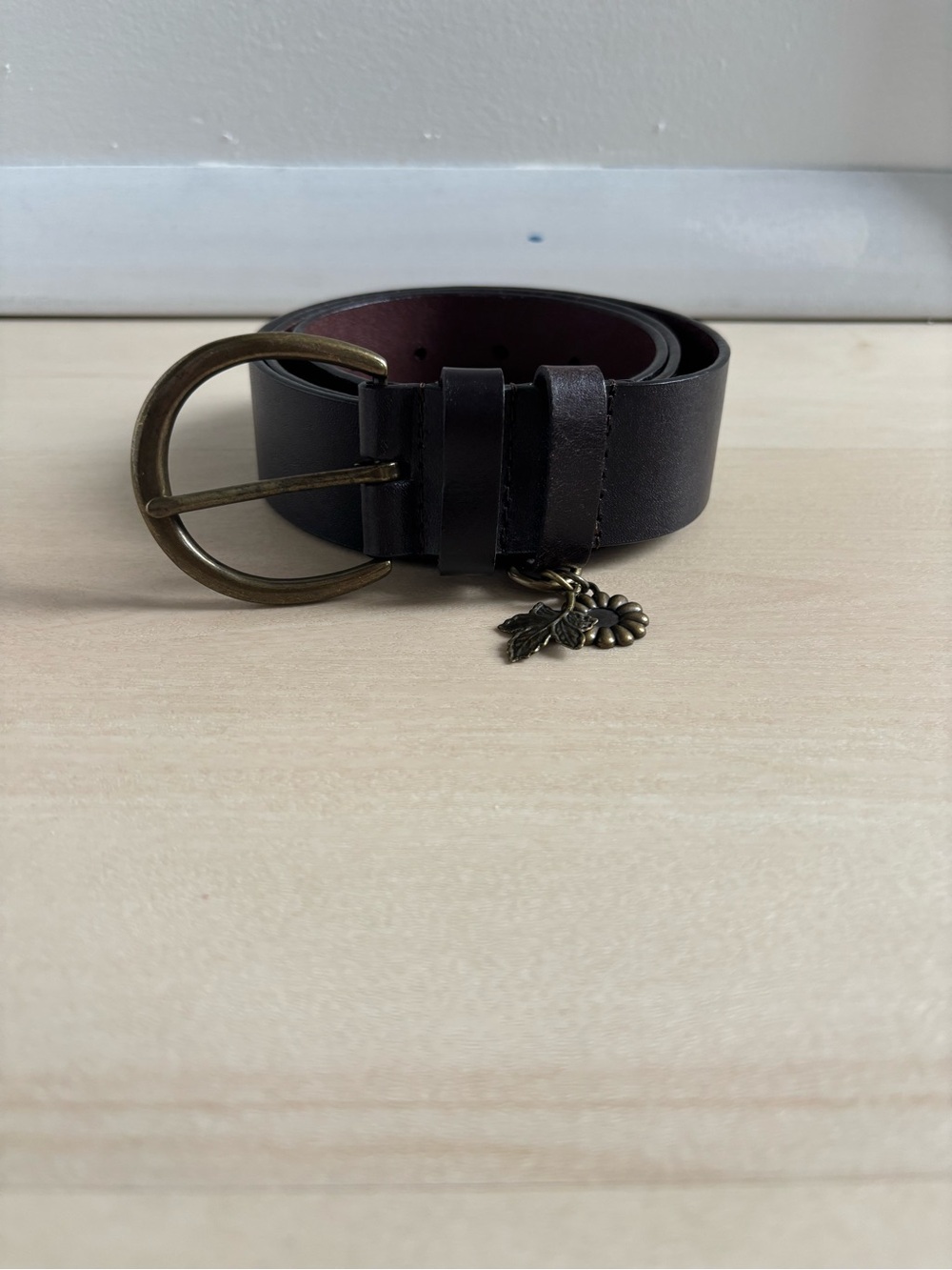 Coldwater Creek Dark Brown Leather Belt with Brass Buckle and Charm